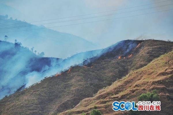 西昌樟木箐镇突发山火当地正全力组织扑救