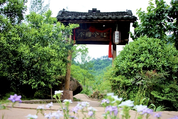 告别"吃农家饭 打麻将 丹棱幸福古村欲建乡村旅游新ip