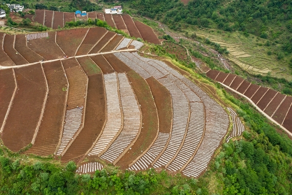 凉山州乌蒙山连片区域土地整治重大扶贫项目 省自然资源厅供图