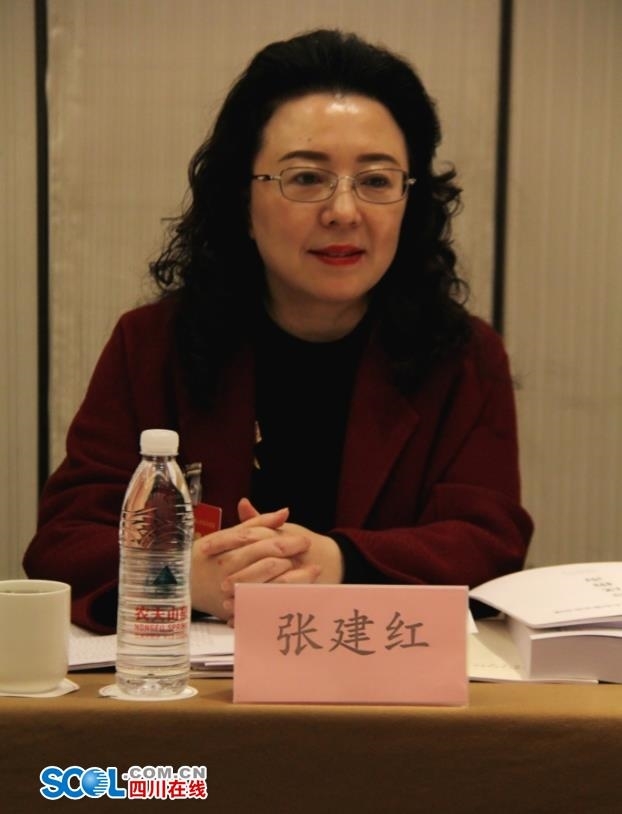 金口河创乐山旅游爆点建设世界重要旅游目的地增长极