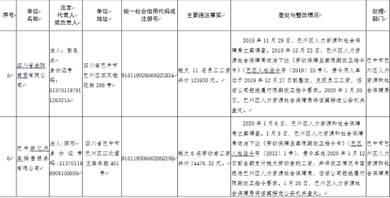 2020年劳动人口年收入_2020年人口普查图片(3)