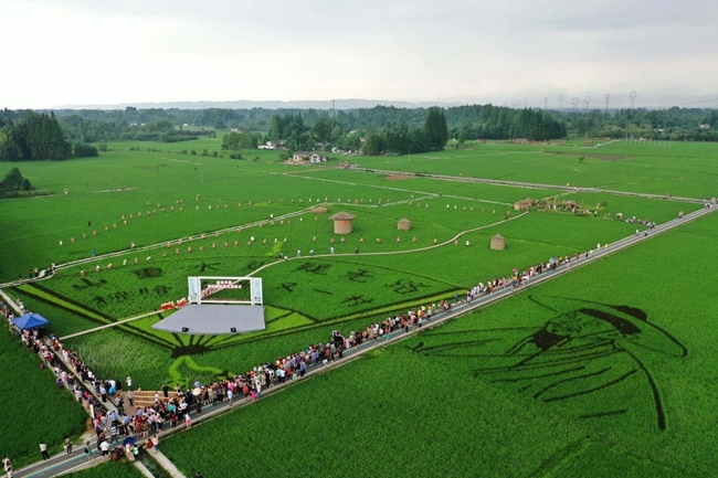地里的庄稼不停长我们的诗就一直写