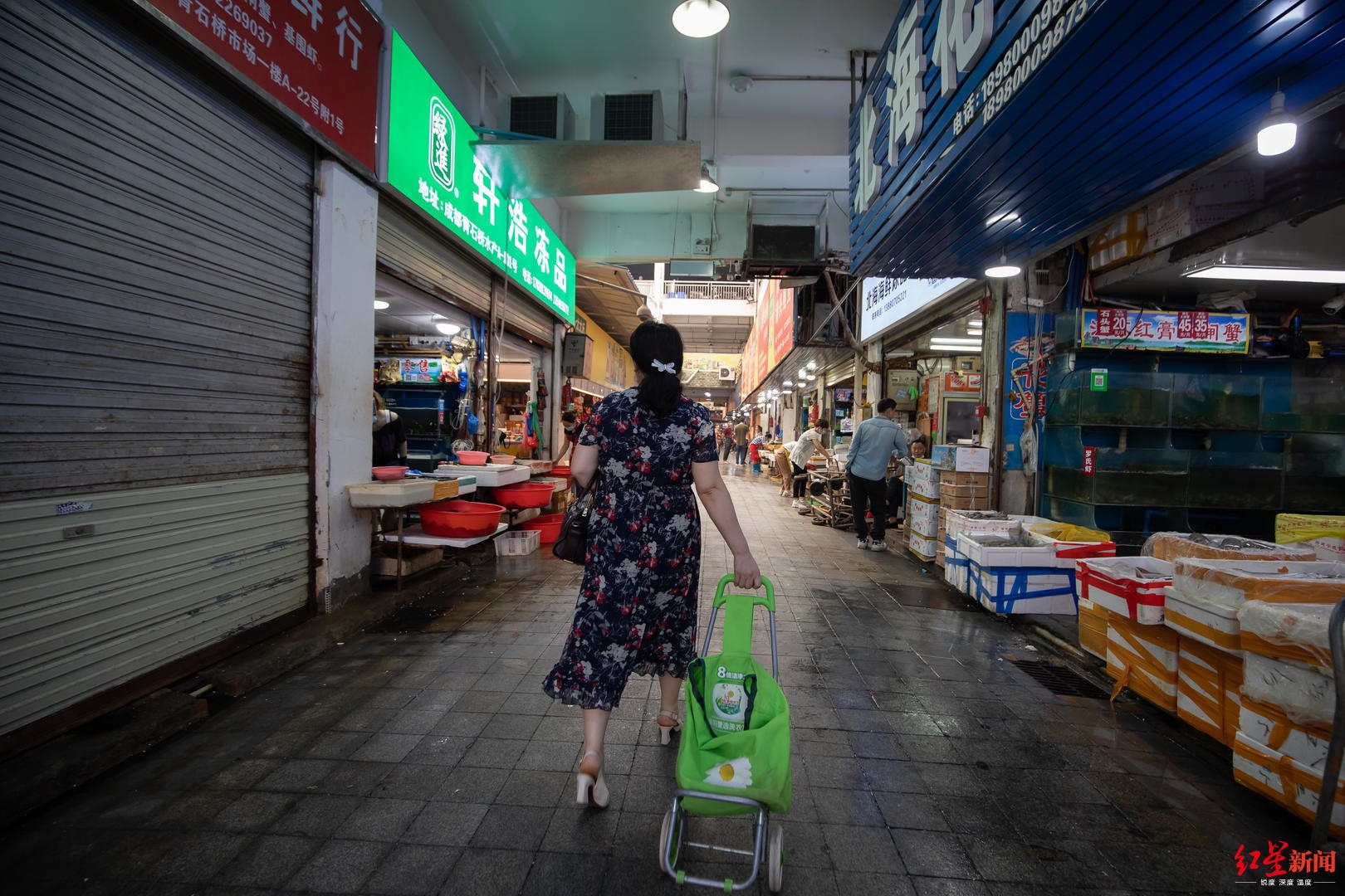 打探成都海鮮市場:三文魚暫時下架,青石橋進口海鮮要登記