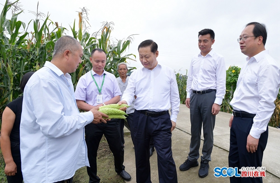 7月22日,省委书记彭清华到三台县芦溪镇涪城村蹲点调研,了解农村